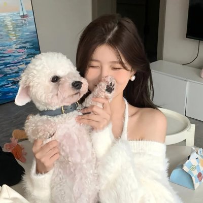 混沌行走