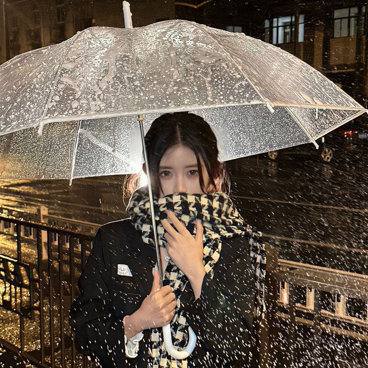 美人记·昭君